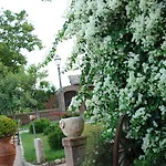 Tenuta Sciacca * Falciano del Massico
