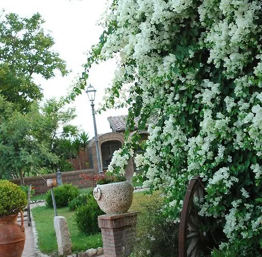 Tenuta Sciacca * Falciano del Massico